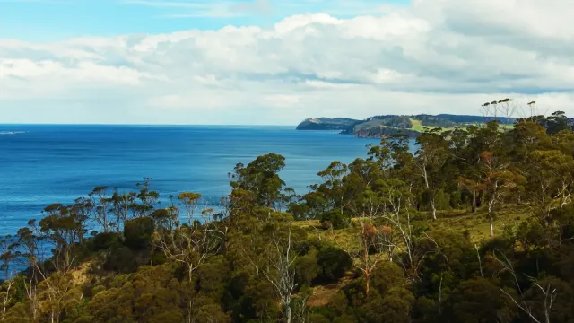 Still aus Tasmanien - Insel am Ende der Welt